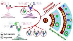 ساخت نانوساختارهای پیچیده با استفاده از الکترواسپینینگ